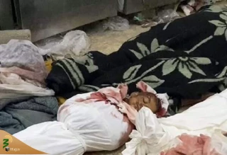 ۸۳ فلسطینی طی ۲۴ ساعت گذشته به شهادت رسیدند