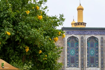 مراسم تحویل سال 1403 در حرم مطهر حضرت امام حسین علیه السّلام 5