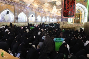 ندای الغوث زائران ایرانی کربلا در شب بیست و سوم رمضان در خیمه گاه حسینی+ فیلم 6