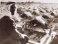 روز قدس، 

 روز همبستگى بین المللى مسلمانان را در حمایت از حقوق قانونى مردم مظلوم فلسطین 2
