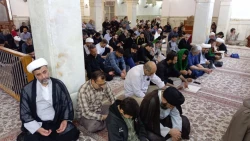دعای ندبه زائران ایرانی نجف در آخرین جمعه ماه مبارک رمضان 3