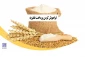 فراموش‌کردن پرداخت فطریه 2