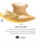 فراموش‌کردن پرداخت فطریه 3