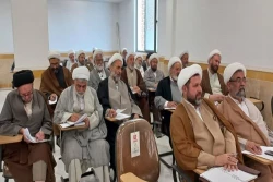 در شهر مقدس قم؛

گردهمایی توجیهی آموزشی رابطین فرهنگی عتبات عالیات برگزار شد 9
