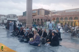 تصاویری از حضور زائران در صبحگاهی ابری در مدینه النبی 6