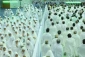 طنین معنویت سرزمین وحی در ورزشگاه ۱۲ هزار نفری آزادی تهران+گزارش عکس 5