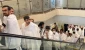 دانشجویان عمره گذار با مدینه وداع کردند 2