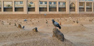در پناه بهشت بقیع 4