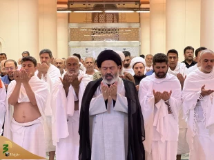 از سال آینده در صورت احراز استطاعت جسمی، از زائران در کاروان ها ثبت نام خواهد شد 7
