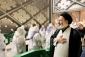 مسئولان حج در‌ایستگاه قطار سریع‌السیر مدینه زائران ایرانی را بدرقه کردند 9