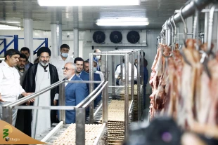 توصیه سرپرست حجاج ایرانی در بازدید از آشپزخانه های پخت غذا در مدینه؛

تلاش برای تهیه غذای با کیفیت  و توجه ویژه به بهداشت 8