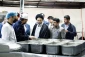 توصیه سرپرست حجاج ایرانی در بازدید از آشپزخانه های پخت غذا در مدینه؛

تلاش برای تهیه غذای با کیفیت  و توجه ویژه به بهداشت 5