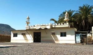 آنچه باید درباره حفر چاه به دست امام علی (ع) بدانید+فیلم