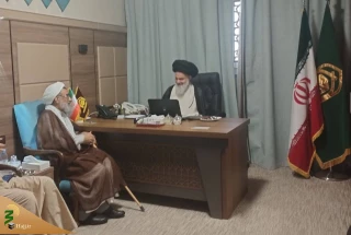 دیدار دبیر شورای عالی انقلاب فرهنگی با آیت‌الله حسینی بوشهری در مدینه