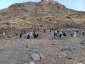از چشم دوربین - 14

جمع آوری سنگ برای رمی جمرات 3
