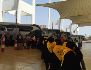 آخرین آمار اعزام زائران به سرزمین وحی
