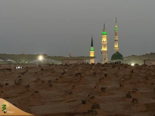 الوداع مدینه 3