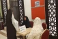 خدمات فرهنگی ویژه بانوان اهل سنت در حج 1403 6