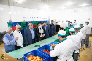 طبخ ۵۵ هزار پرس غذا در آشپزخانه مرکزی اَفندی مکه 12