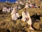 شب زیبای جبل الرحمه در صحرای عرفات 10