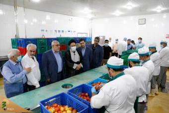 بازدید از آشپزخانه مرکزی افندی در مکه  30