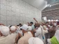 یازدهم ذی الحجه دومین روز بیتوته در منا 2