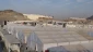 انطلاق مراسم رمي الجمرات في يوم عيد الأضحى في منى 10