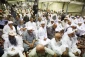 حجة الاسلام نواب؛ فضل العلم و مکانة العلماء امتداد للرسالة النبویة 3