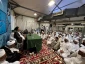 Hojjat  Al-Islam Navvab: Virtue of Knowledge and Status of Scholars Is Extension of Prophetic Mission 4