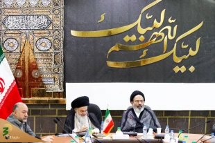 سرپرست حجاج ایرانی:

برگزاری انتخابات امتیاز بزرگی برای کشور میزبان است 10
