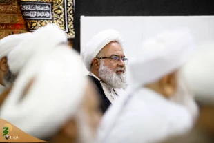 حجت‌الاسلام والمسلمین نواب تأکید کرد؛

برنامه‌های فرهنگی برای زائران شیعه و سنی یکنواخت برگزار می شود 8