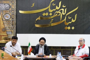 سرپرست حجاج ایرانی:

دستورالعمل پزشکی و سبک زیست بهداشتی در حج برای زائران تالیف شود 9