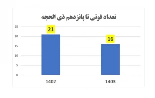 سایه روشن درگذشت حجاج ایرانی در ایام حج+جدول مقایسه‌ای 3