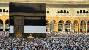 اینجا خانه خودت است+عکس و فیلم