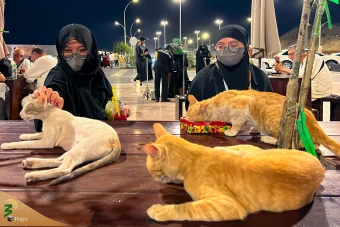 حال و هوای شهر پیامبر سال ۱۴۴۵ هجری قمری 28