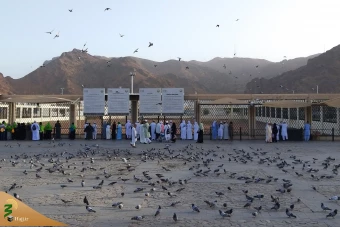 زیارت دوره زائران در مدینه منوره 18