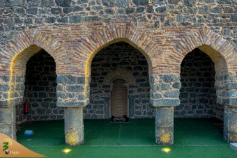 زیارت دوره زائران در مدینه منوره 15