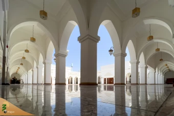 زیارت دوره زائران در مدینه منوره 16
