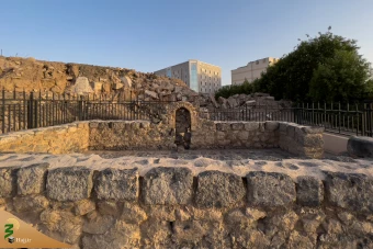 زیارت دوره زائران در مدینه منوره _2 5