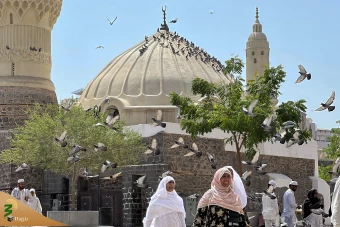 زیارت دوره زائران در مدینه منوره _2 23