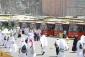 Head of Iranian Pilgrims Visits Intra-City Transport in Mecca 5