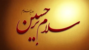 مراقب انسان‏