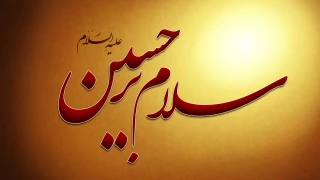 مراقب انسان‏