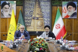 در نشست مسئولان حج و زیارت عنوان شد؛

اصلاح آسیب های اربعین های گذشته در اولویت برنامه ریزی ها قرار گیرد 9