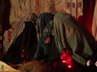 سفره حضرت رقیه(س) در بین الحرمین 4