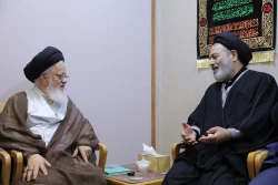 دیدار نماینده ولی فقیه در امور حج و زیارت و نماینده رهبر معظم انقلاب اسلامی در عراق
 4
