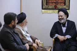دیدار نماینده ولی فقیه در امور حج و زیارت و نماینده رهبر معظم انقلاب اسلامی در عراق
 4