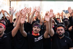 عزاداری اربعین حسینی۱۴۴۶ هجری قمری درکربلای معلی  31