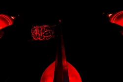 سیاه پوش شدن حرم امیرالمؤمنین علیه السلام در آستانه رحلت رسول اکرم(ص) 5
