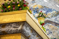 حرم امام حسین(ع) در آستانه میلاد پیامبر(ص) گل‌آرایی شد 2